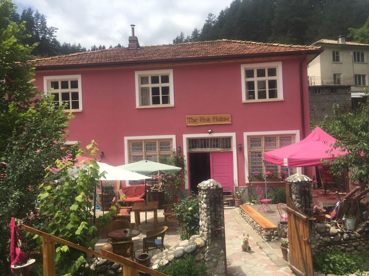 Hotel The Pink House Polkovnik Serafimovo Exteriér fotografie